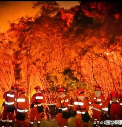 重庆山火后灭火器堆成小山，见证团结力量