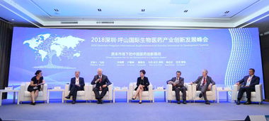 国产专利一区，创新发展的前沿阵地