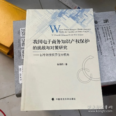 知识产权国际保护的挑战与策略