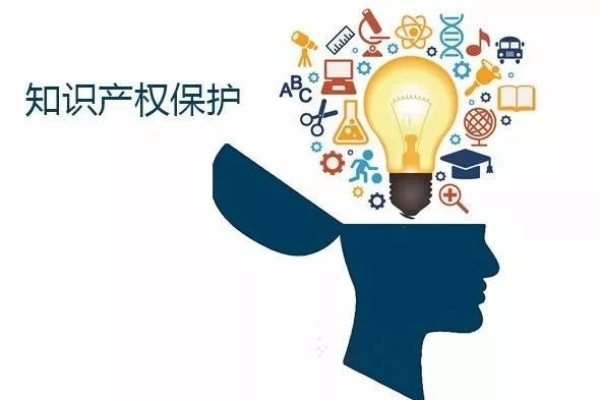 知识产权专业，探索保护与利用的平衡之道