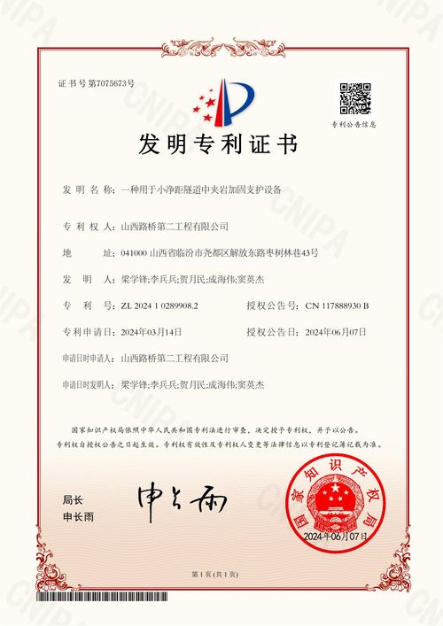 国家专利查询网站，专利信息的快速便捷通道