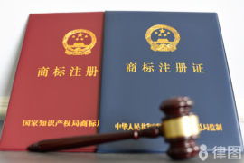 抢注小英一家商标遭驳回，商标注册权益保护与法律红线探讨