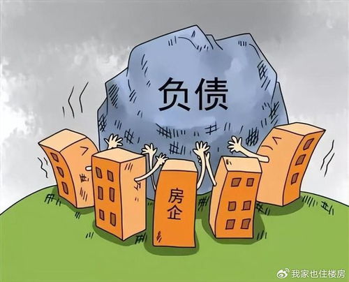 巨额债务背后的故事，夫妻借款百万的还款与追讨困境