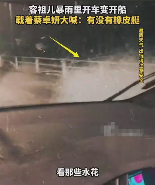 容祖儿暴雨中开车如开船，勇敢还是冒险？