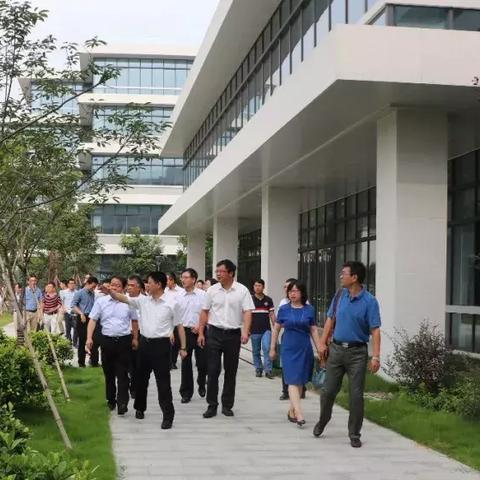 国家专利局网站，创新与知识产权的联接桥梁