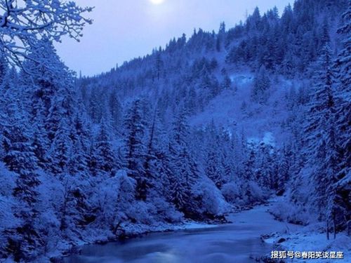 河北四月惊现鹅毛大雪，气候异常下的罕见壮丽景象