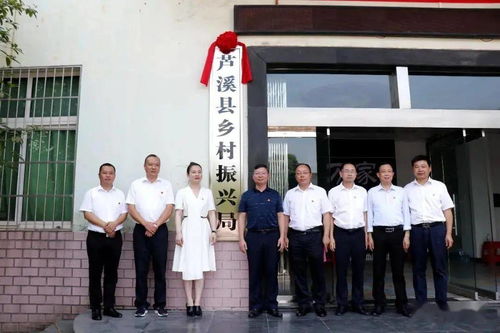 景德镇鸡排哥爆火原因解析