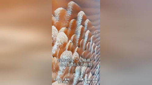 钱塘江惊现壮观龙鳞潮现象